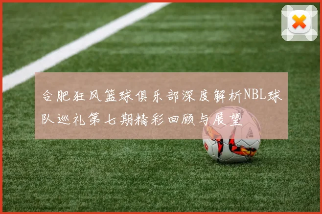 合肥狂风篮球俱乐部深度解析NBL球队巡礼第七期精彩回顾与展望