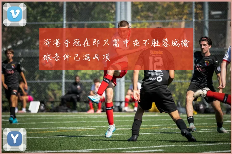 海港夺冠在即只需申花不胜蓉城输球条件已满两项