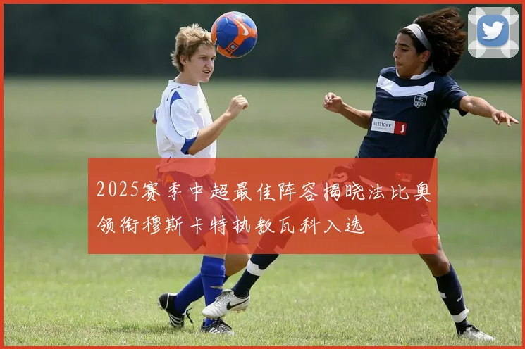 2025赛季中超最佳阵容揭晓法比奥领衔穆斯卡特执教瓦科入选